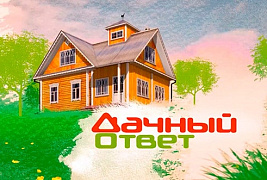 «Дачный ответ.НТВ»: проект дизайнера Екатерины Кудряшовой